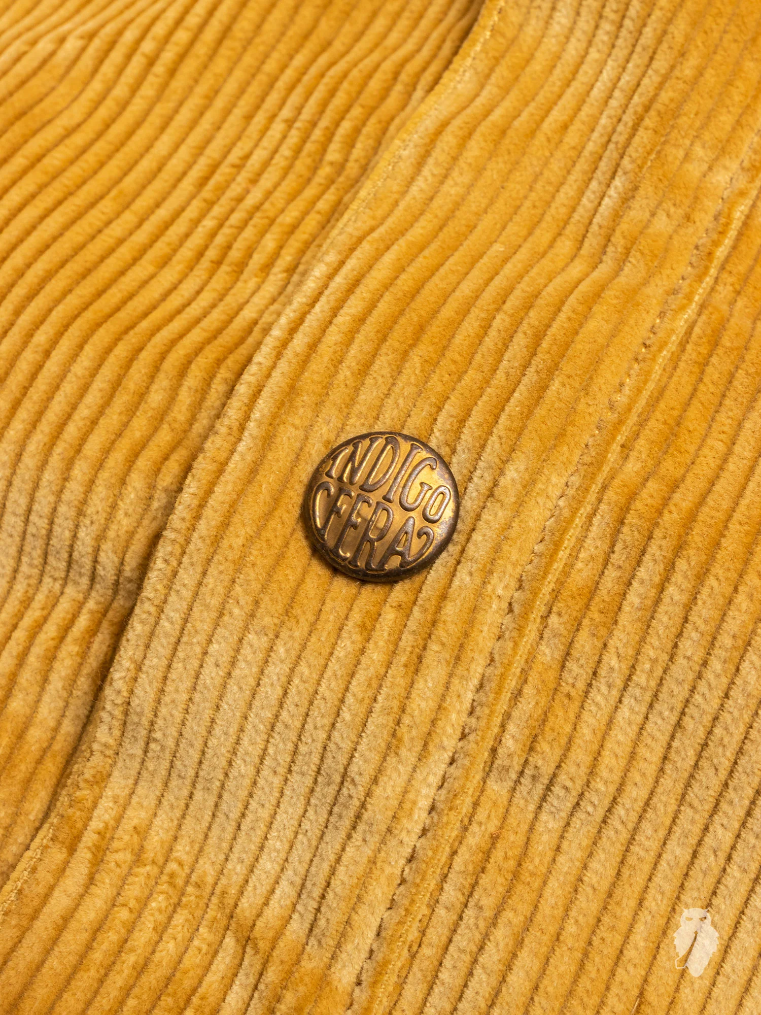 "Eagle Rising" Corduroy Jacket in California Gold - Image 5