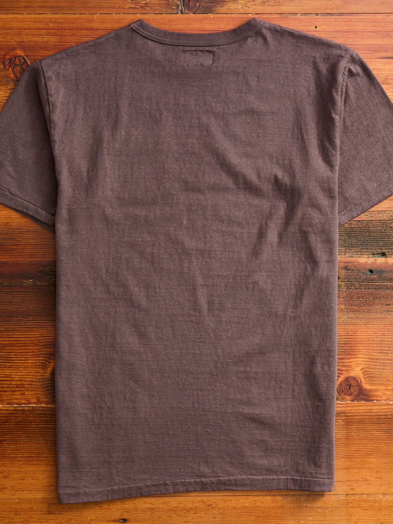 Hanalei Short Sleeve T-Shirt in Raisin - Image 7