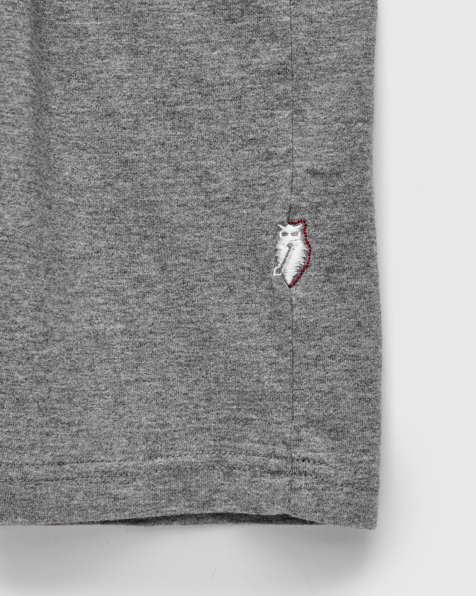 "Moonrock" Jersey Slub T-Shirt in Heather Grey - Image 5