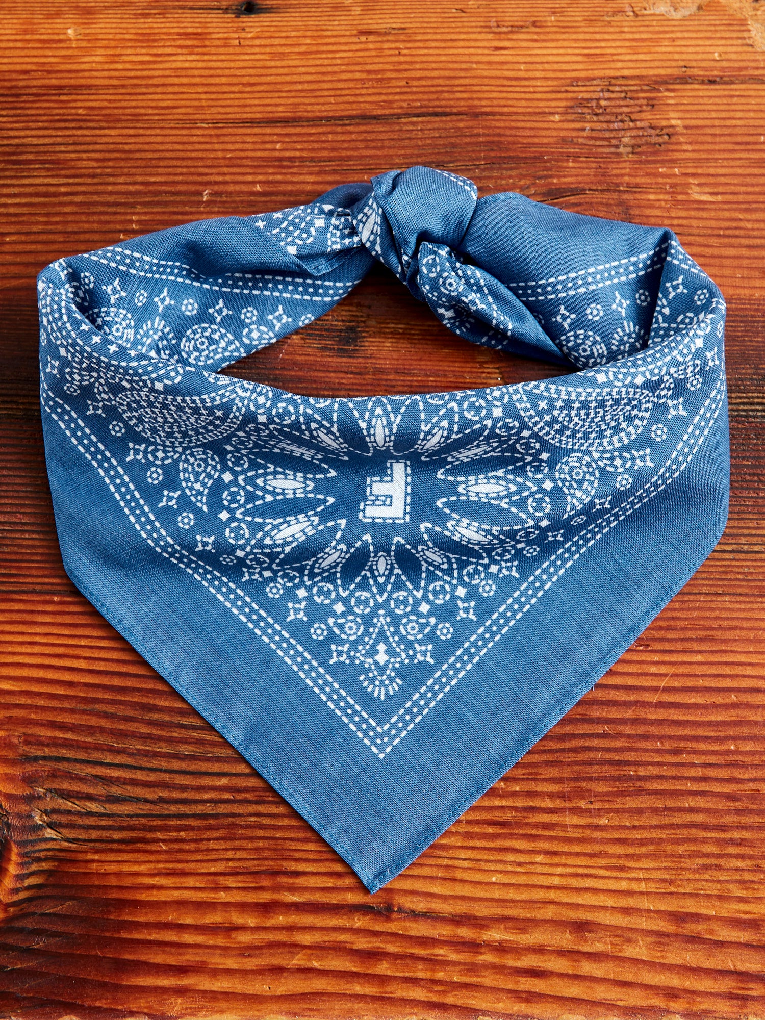 Paisley Bandana in Light Blue - Image 2