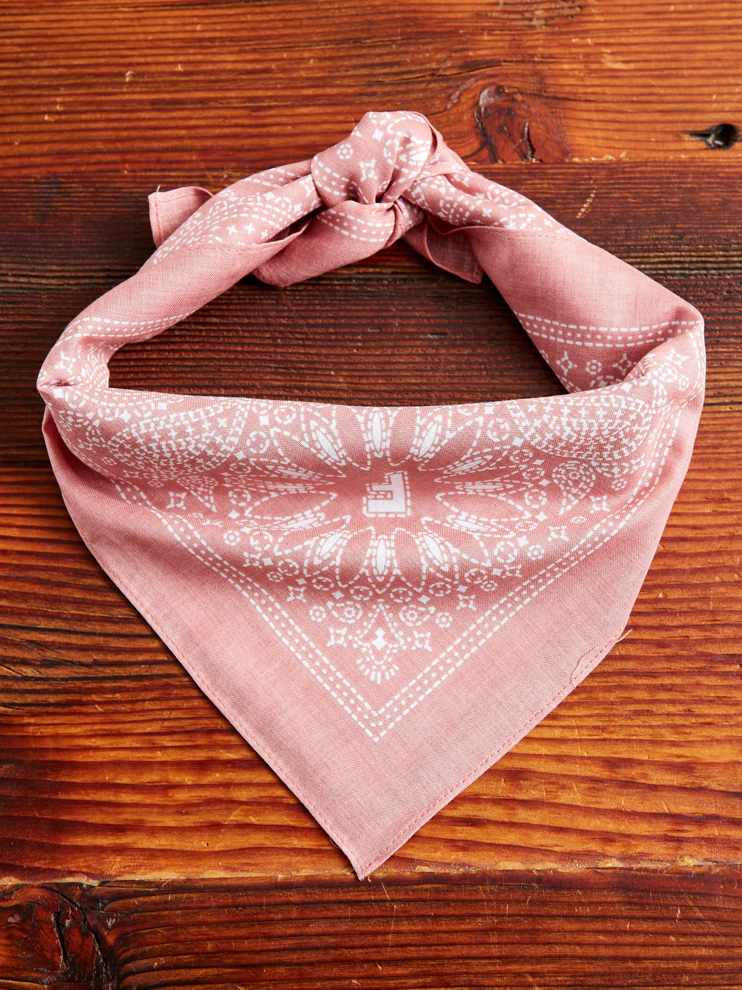 Paisley Bandana in Light Pink - Image 2