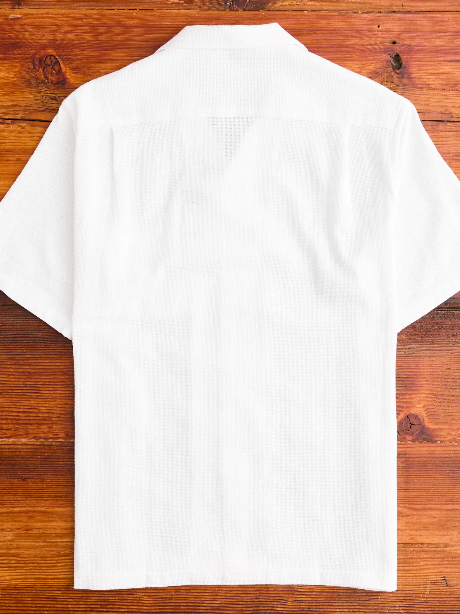 Pique Button-Up Shirt in White - Image 9