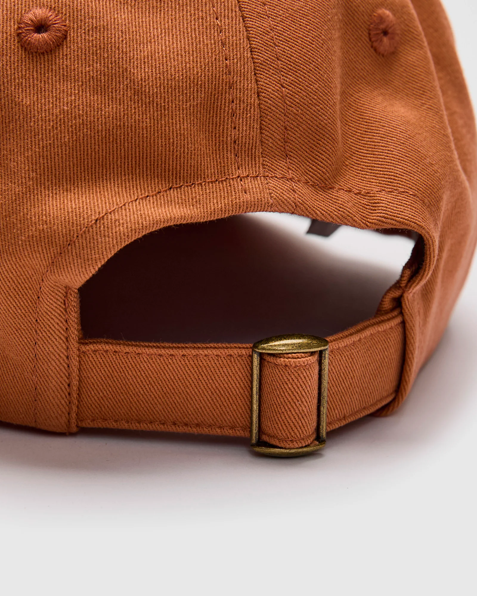 Swan Logo Gabardine Cap in Pumpkin - Image 5